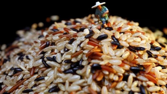 厄爾尼諾現象恐引致乾旱，出口商開始囤積，亞洲米價近日飆升至2年多來高位。(資料圖片)