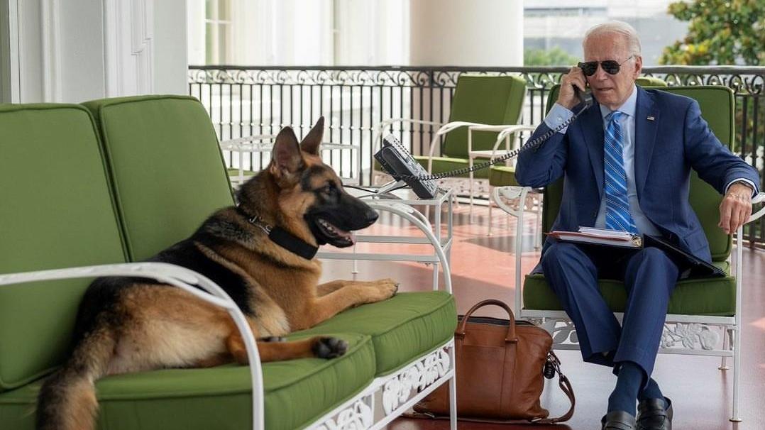 美國第一狗「司令」咬傷7名特勤人員，其中1人要送院。(Twitter)