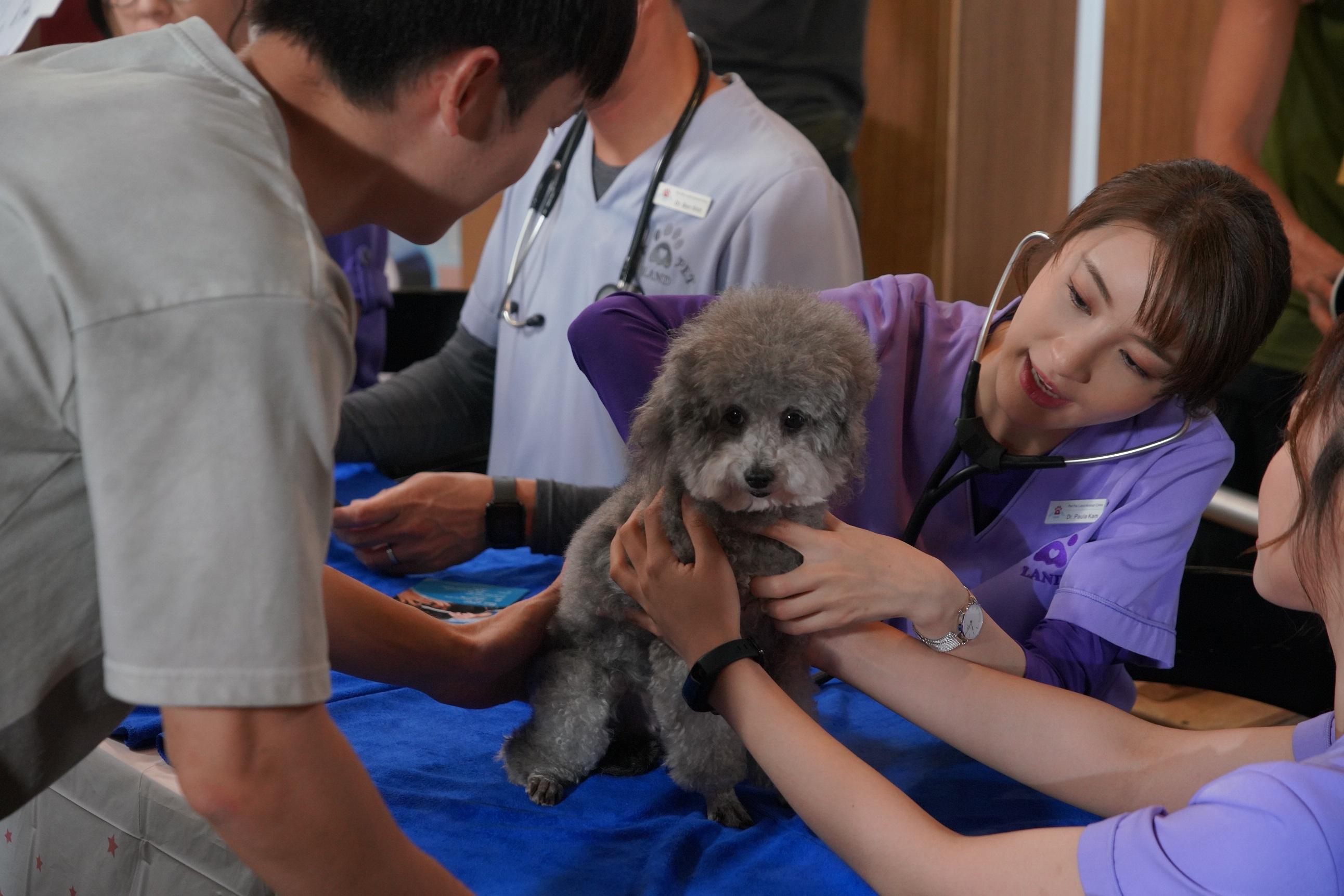 寵愛Pet Pet｜林夏薇為插曲填詞 演獸醫搵家中愛犬練習