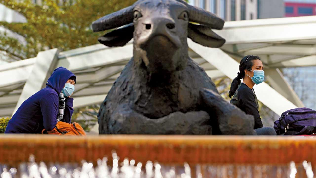 靈活應變｜專家倡多元持倉 下半年勝算增 摩根建議債七股三