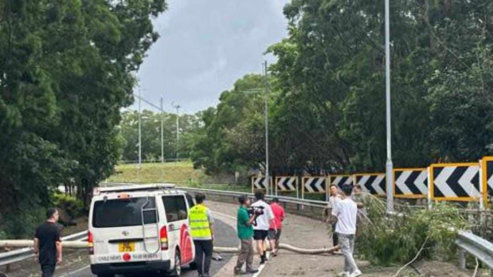 颱風泰利｜青衣北岸公路有大樹倒塌，砸中《有線新聞》採訪車。(馬路的事討論區fb圖)