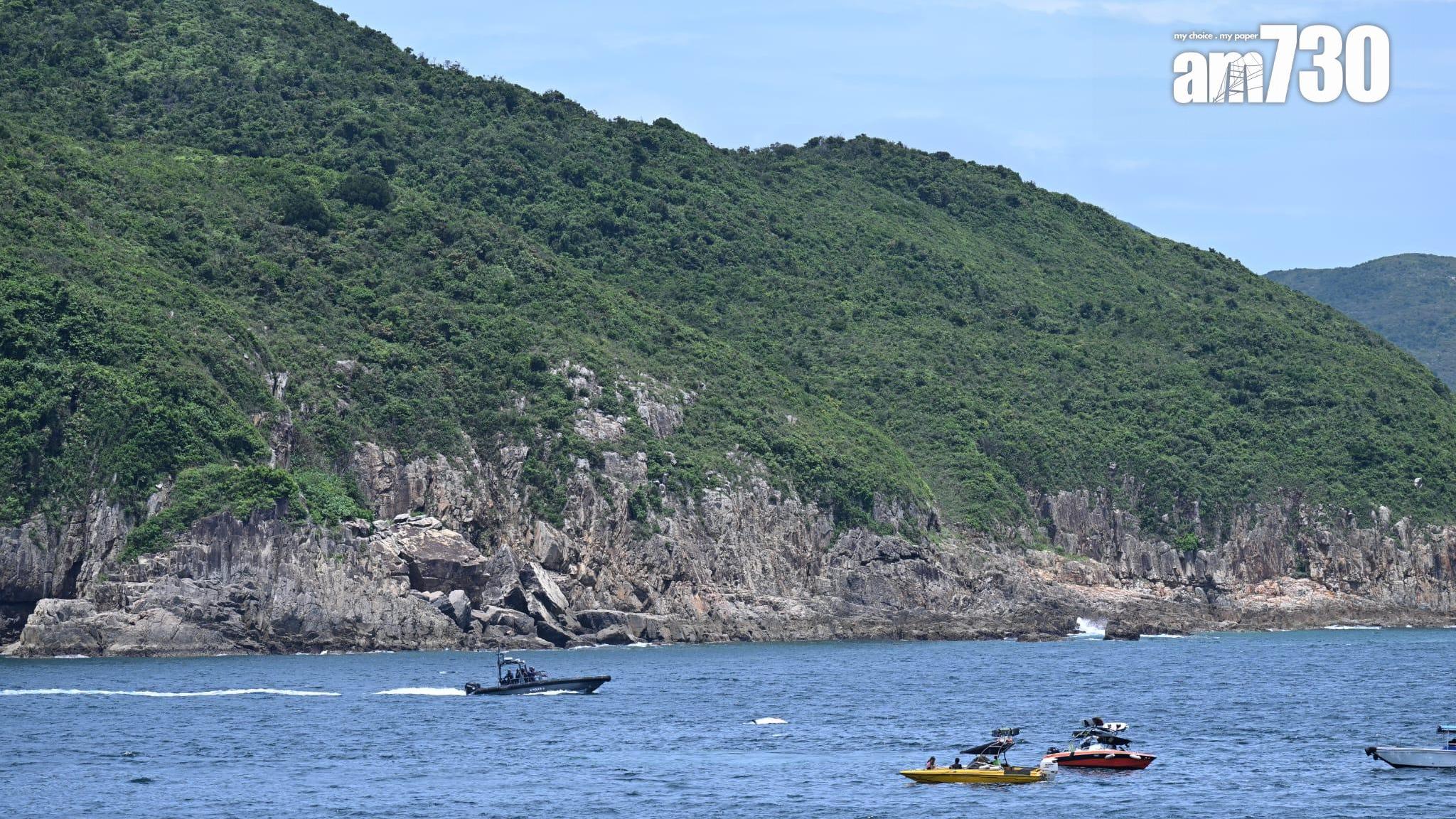 西貢鯨魚整合｜布氏鯨由被圍觀到反肚　誰的過？