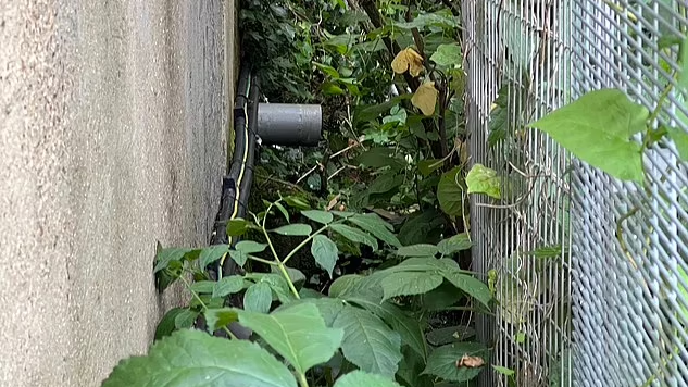 75歲阿伯貪快抄捷徑去火車站 如軍人般爬過草叢 被水管卡住5日險死