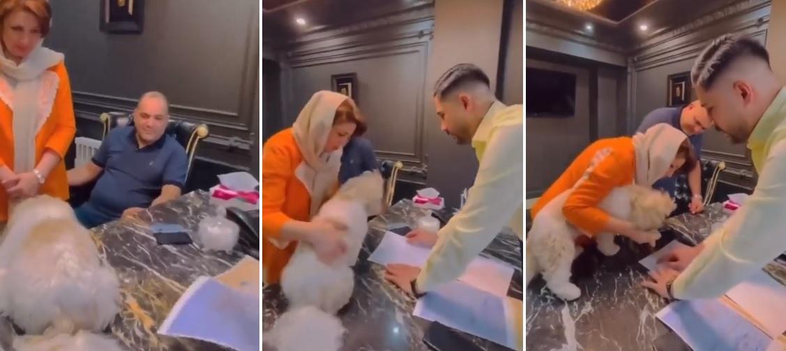 夫婦把公寓賣給寵物狗，協助狗狗在契約上蓋腳掌印。(互聯網)