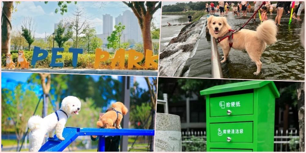 盤點深圳5大寵物公園！毛孩賣萌社交樂園。