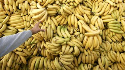 網上熱話｜英政府建議夏季外遊「食蕉」吃香蕉非為營養 而因為它