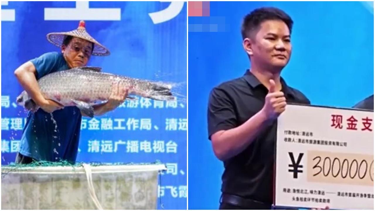 20公斤魚王以30萬元賣出，買家被問紅燒定清蒸這樣答。(微博)