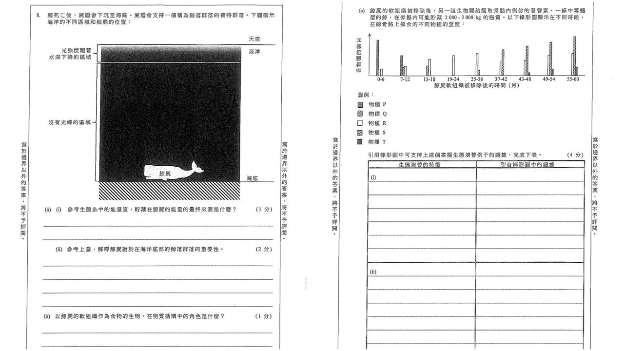 網上熱話｜DSE生物科試卷「貼中」布氏鯨死亡