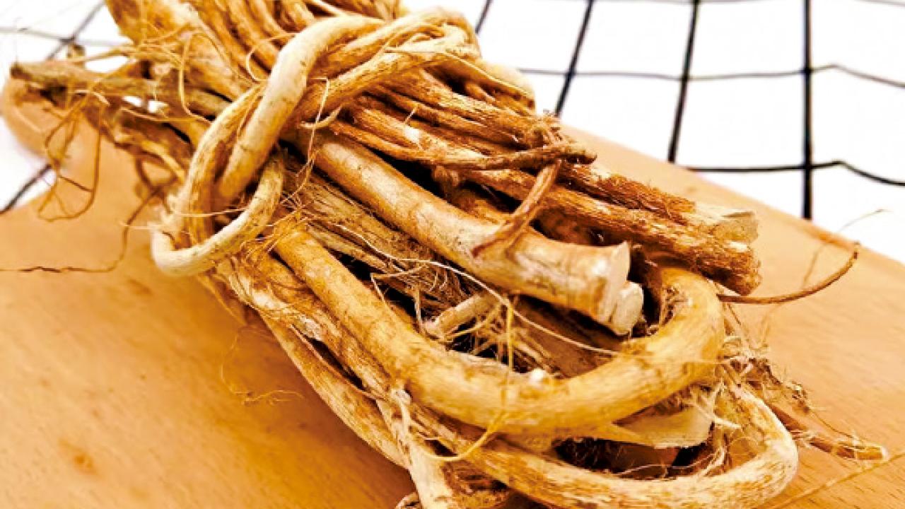 補氣食物｜五指毛桃健脾補肺 又名南方的黃芪