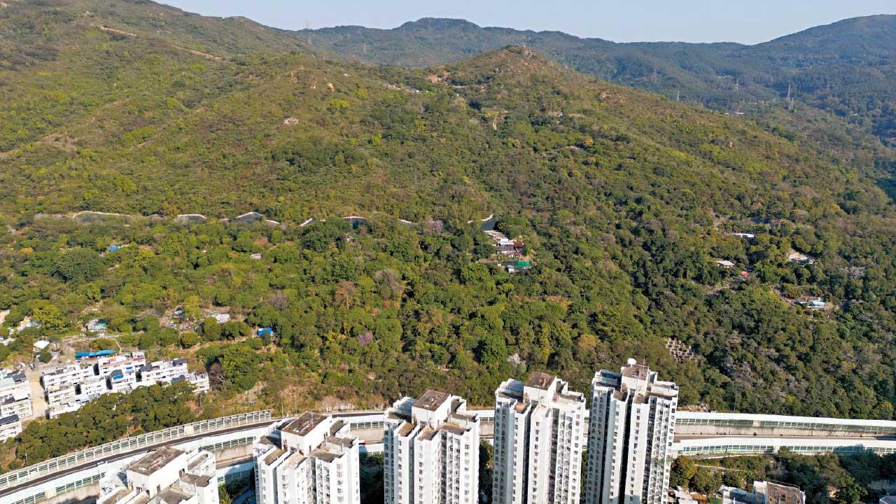 反應冷淡｜荃灣首置地流標 房協接手