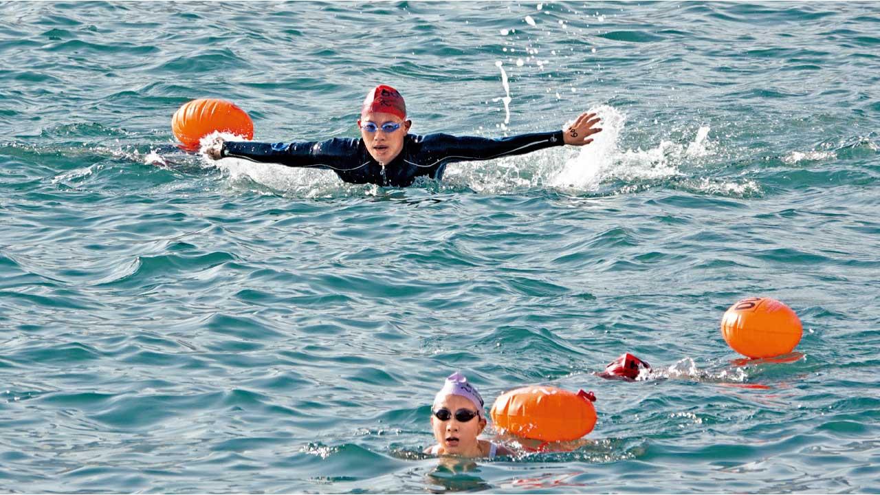 新世界維港泳11.12舉行 名額增至4千首邀大灣區泳手參與