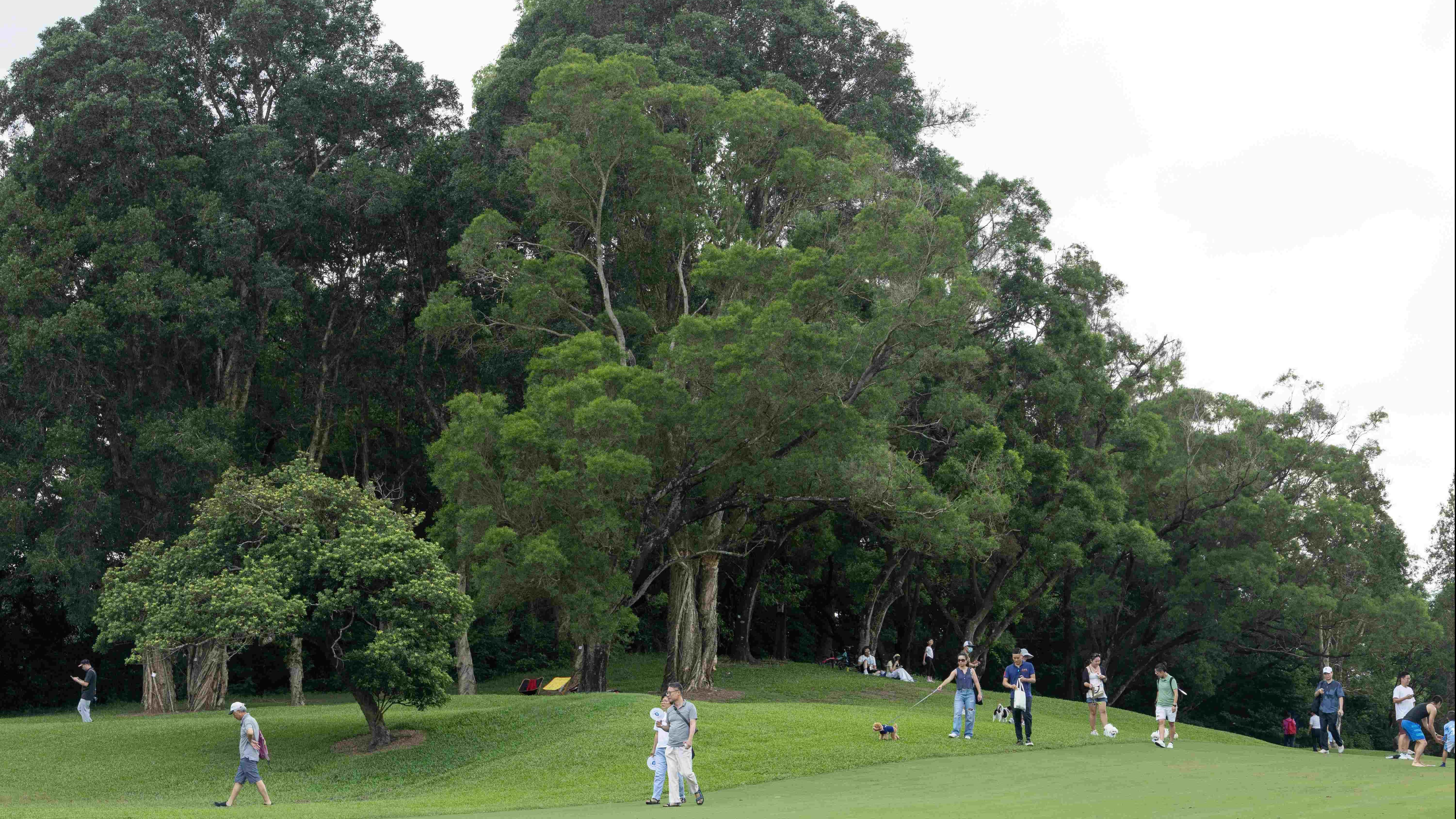 粉嶺高球場｜哥球會就環評報告申司法覆核獲批　高院批出臨時暫緩執行令