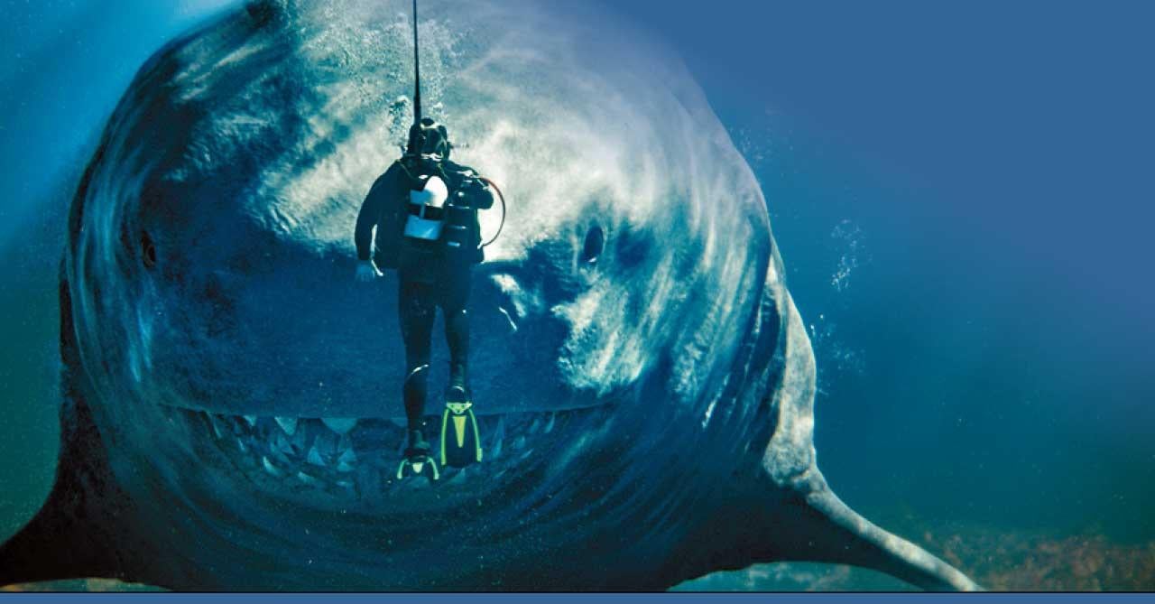 《極悍巨鯊2：深溝》