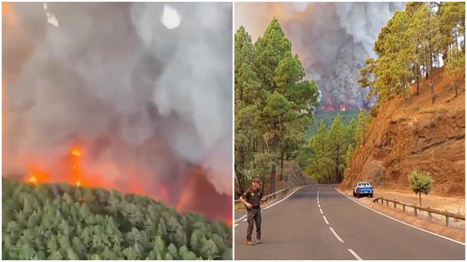 西班牙特內里費島發生森林大火。（圖／翻攝自X）
