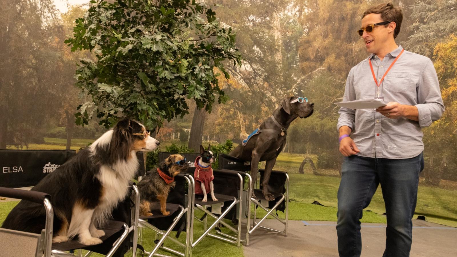 復仇戇狗聯盟｜出動90隻狗狗演出 狗明星獲非一般待遇入住4星級酒店