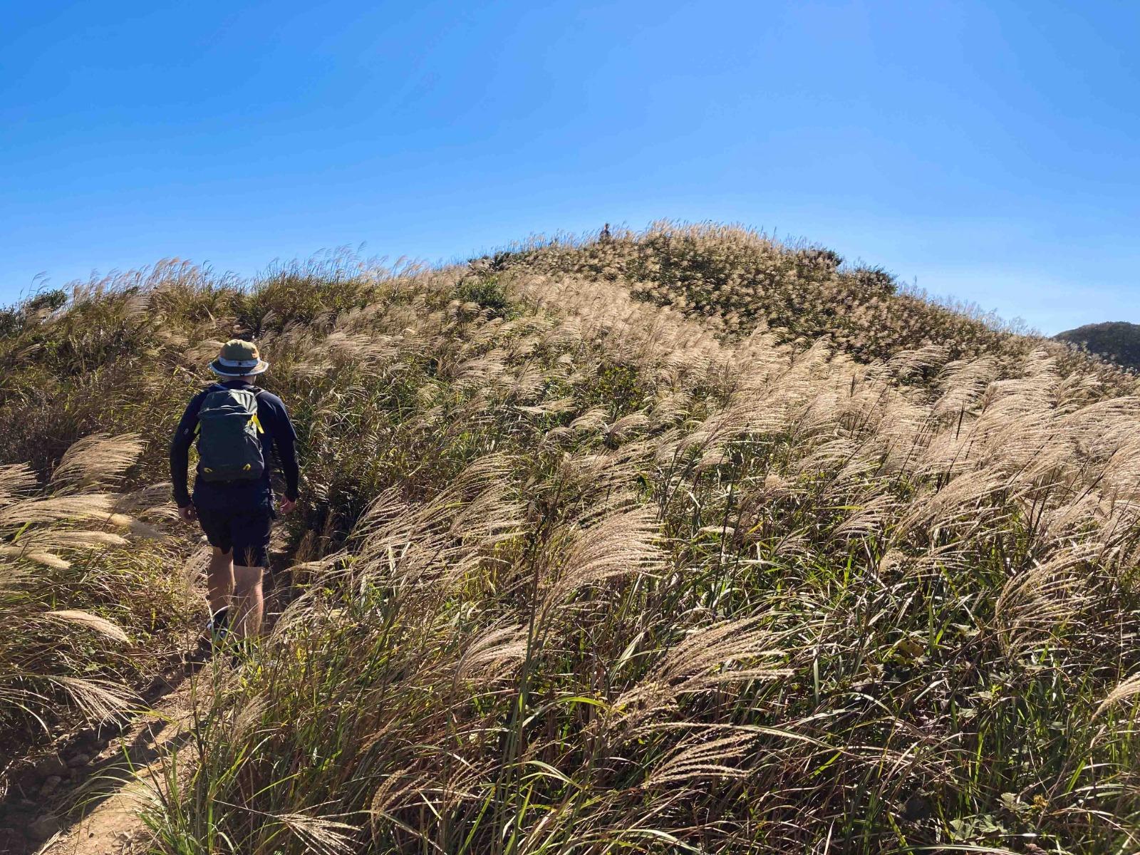 行山裝備清單｜行山鞋、背囊、尿袋等神器減受傷遇險機會