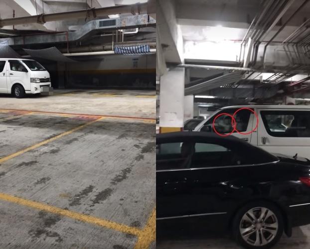 網上熱話｜七旬爺爺抱孫仔坐大髀揸貨Van掟彎　涉危駕被捕