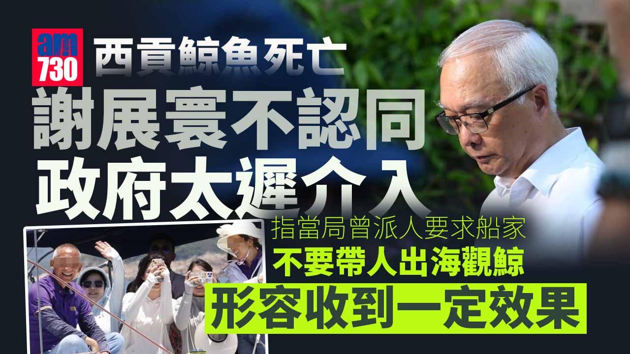 西貢鯨魚死亡｜謝展寰不認同政府太遲介入　檢視是否賦權當局驅趕船隻
