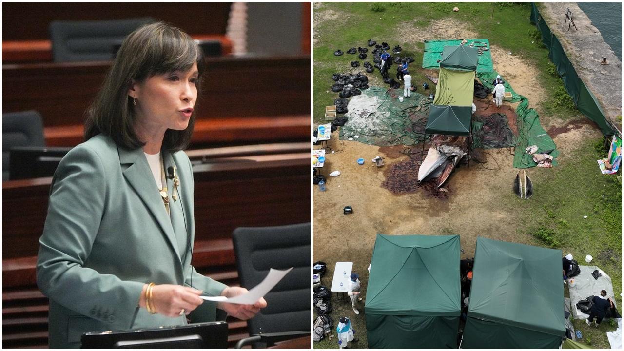 西貢鯨魚死亡｜江玉歡