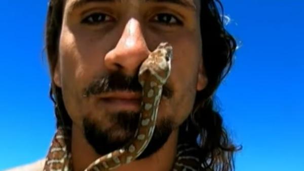 澳洲男子帶寵物蛇滑浪被罰款。(影片截圖)