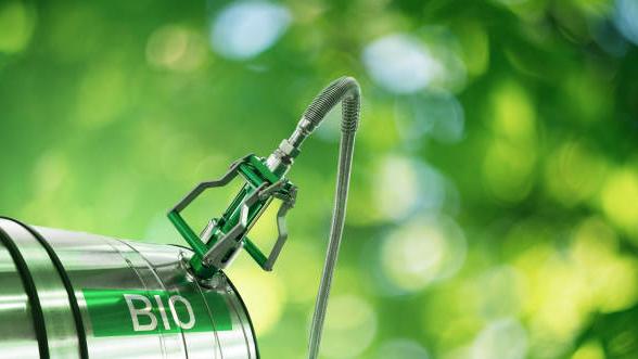 生物燃料妙用無窮