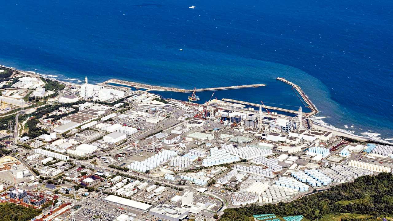 實施一個月 暫告一段落 日停止每天公布魚類輻射檢測