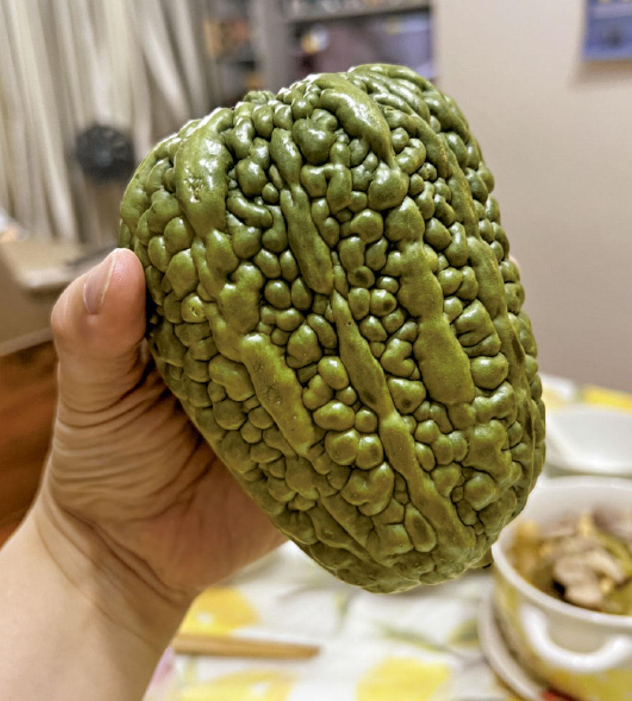 苦瓜品種多