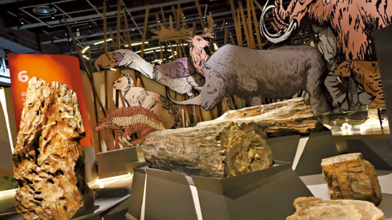 科學館全新常設展廳今起辦「滅絕．新生」展覽 長毛象化石 會郁會叫機械恐龍現身