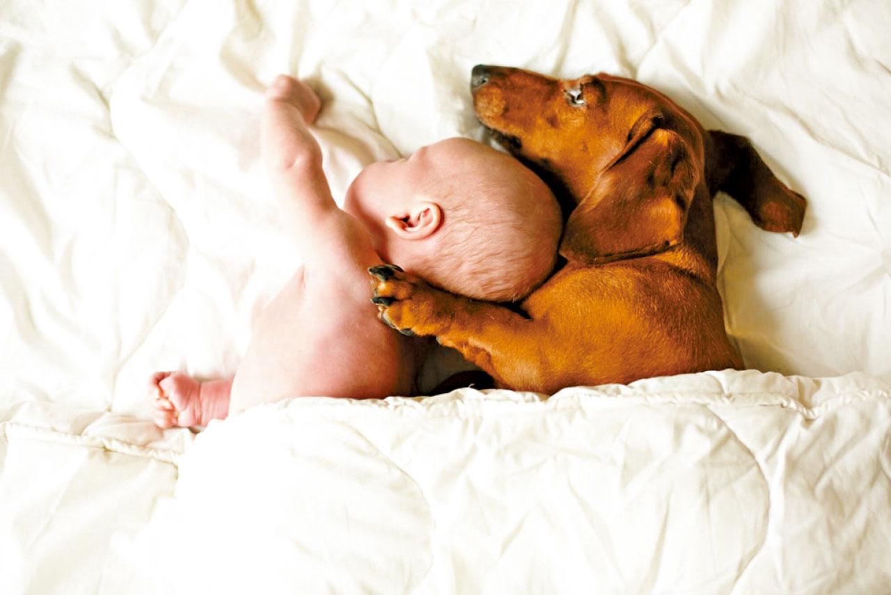 研究：家有寵物助減兒童過敏