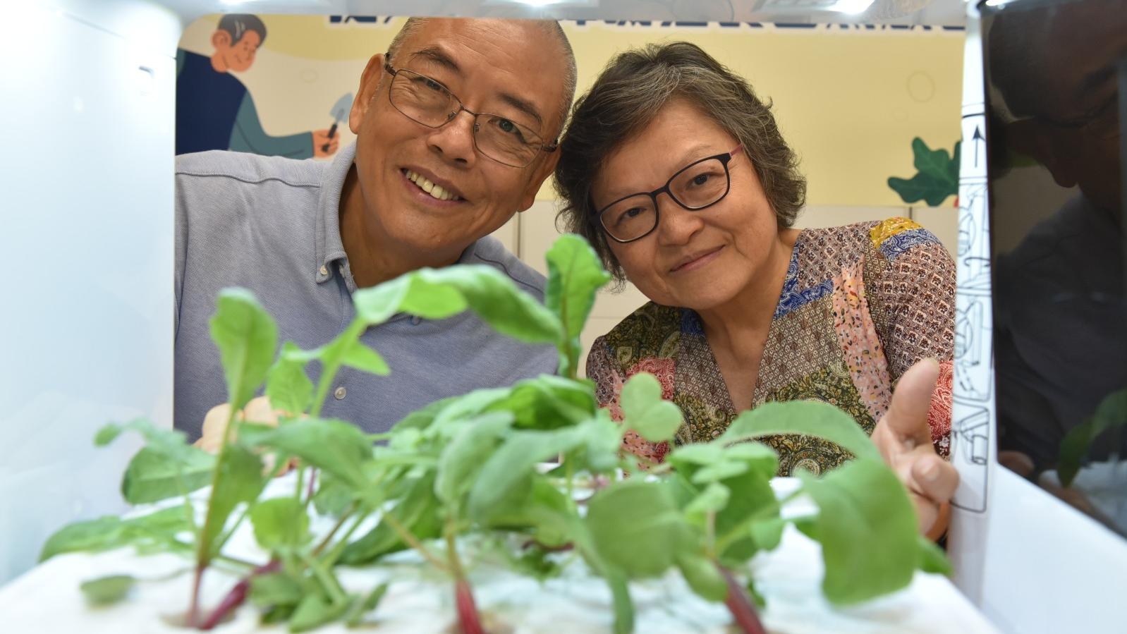 理大研究：園藝治療延緩認知障礙　患者心理及行為症狀減少近25%