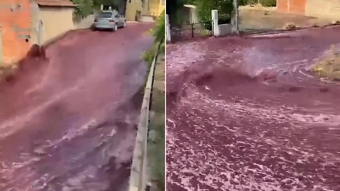 葡萄牙「水浸」街道變紅色激流 原來唔係水 咁究竟係乜？(有片)