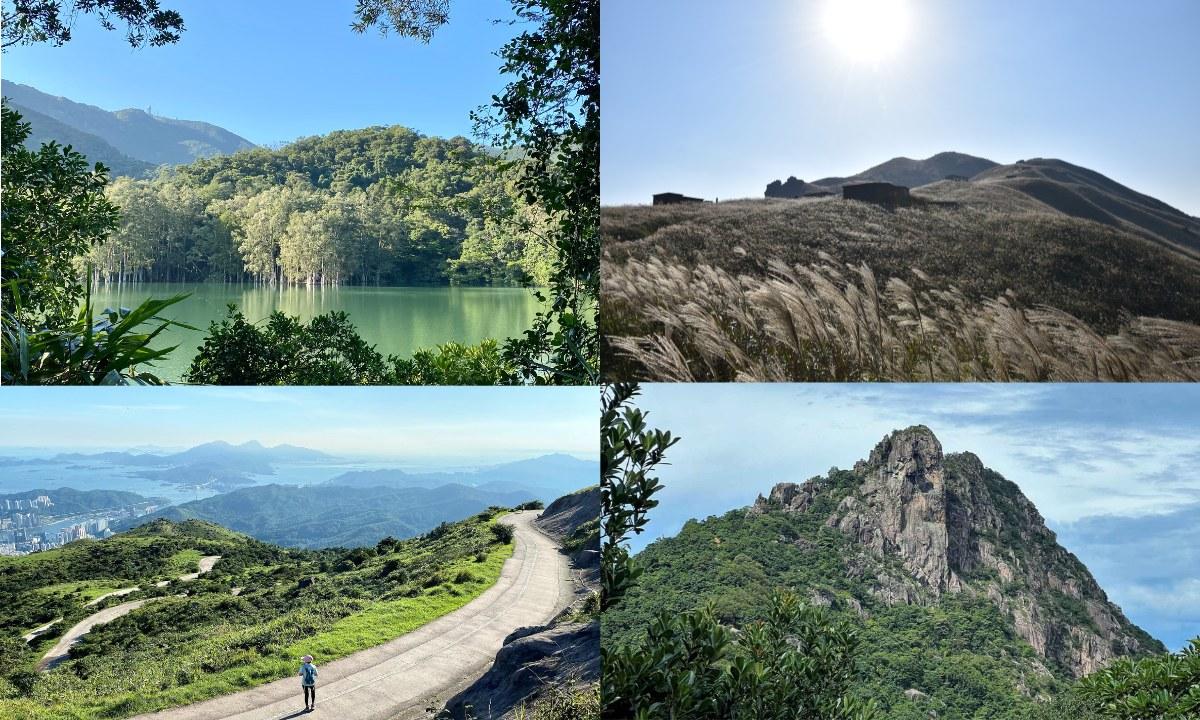 行山路線｜大東山芒草、城門水塘、青山等秋冬好去處 不同難度任你揀