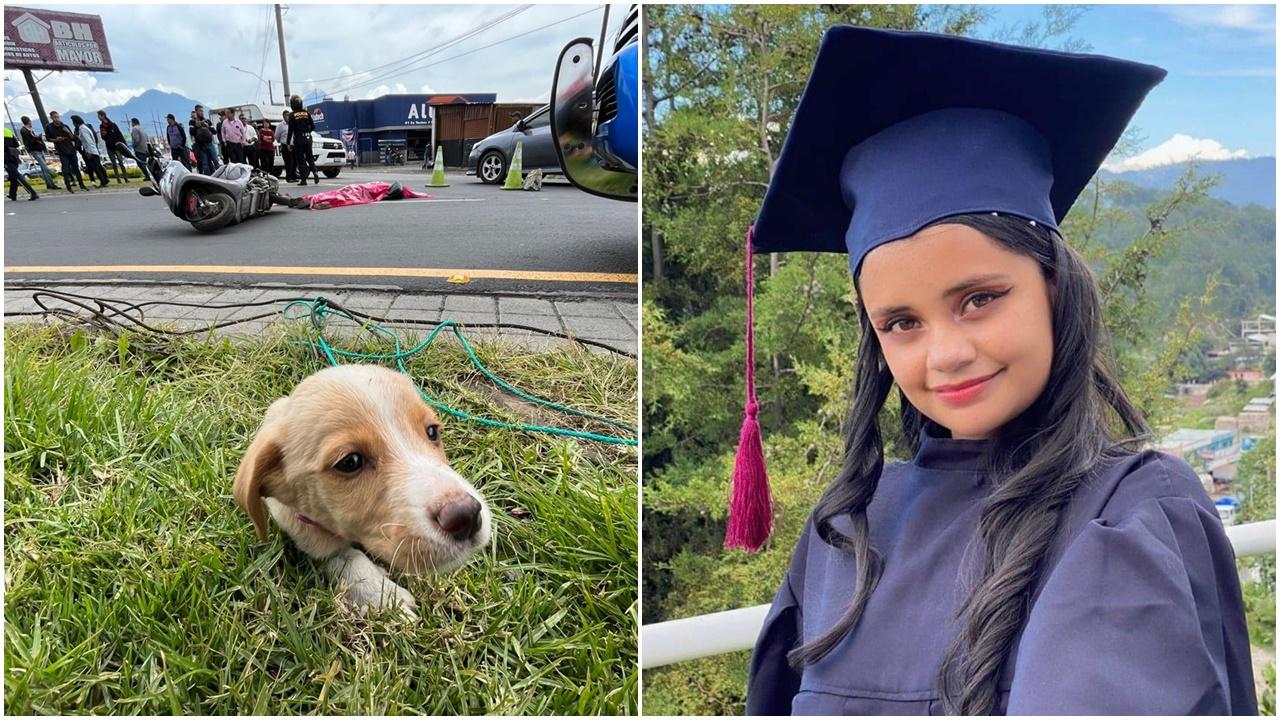 少女剛領養小狗翌日被車撞死，毛孩待遺體旁守護一日緣份。(X)