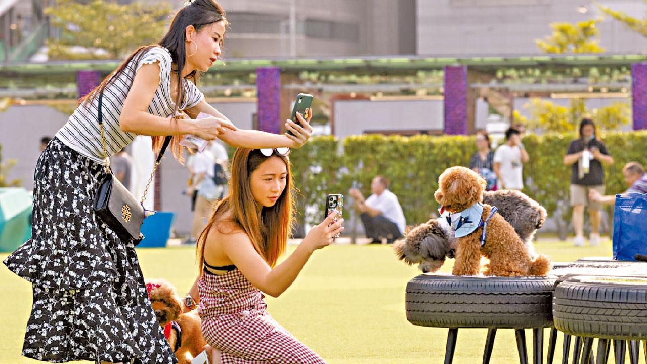 強颱風小犬今入800公里範圍 天文台︰今晚掛一號波