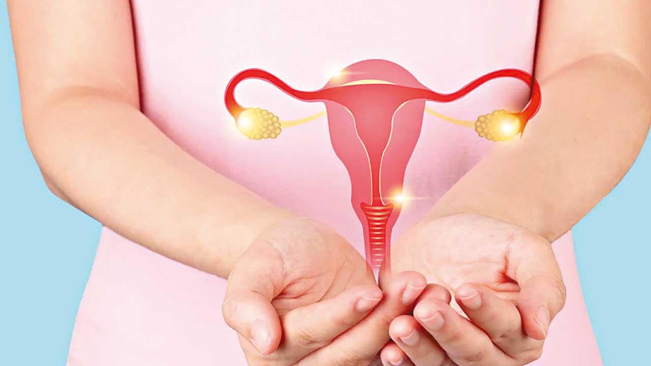 保養卵巢之中醫藥膳