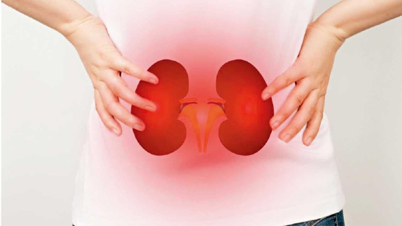 中醫藥治療早期慢性腎功能衰竭的優勢