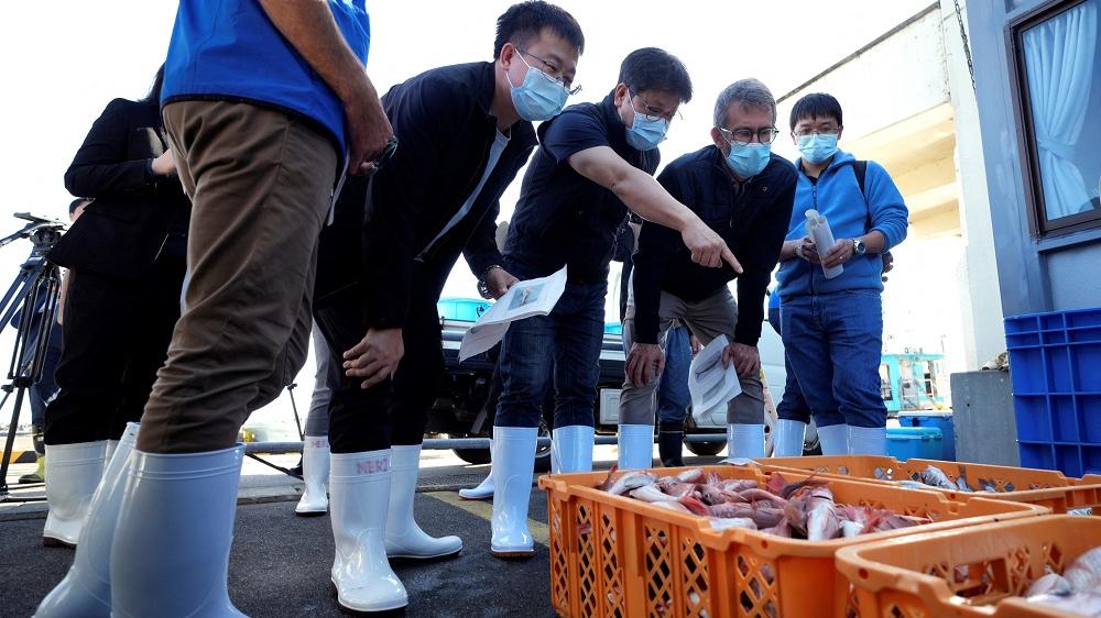 國際原子能機構檢取福島魚獲。(路透社)
