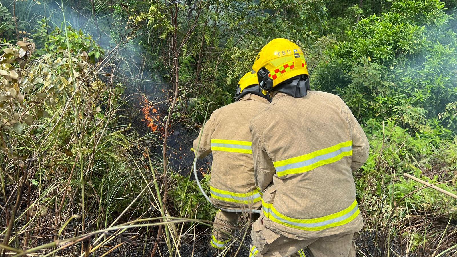 消防處指接獲多宗山火報告。(消防處提供)