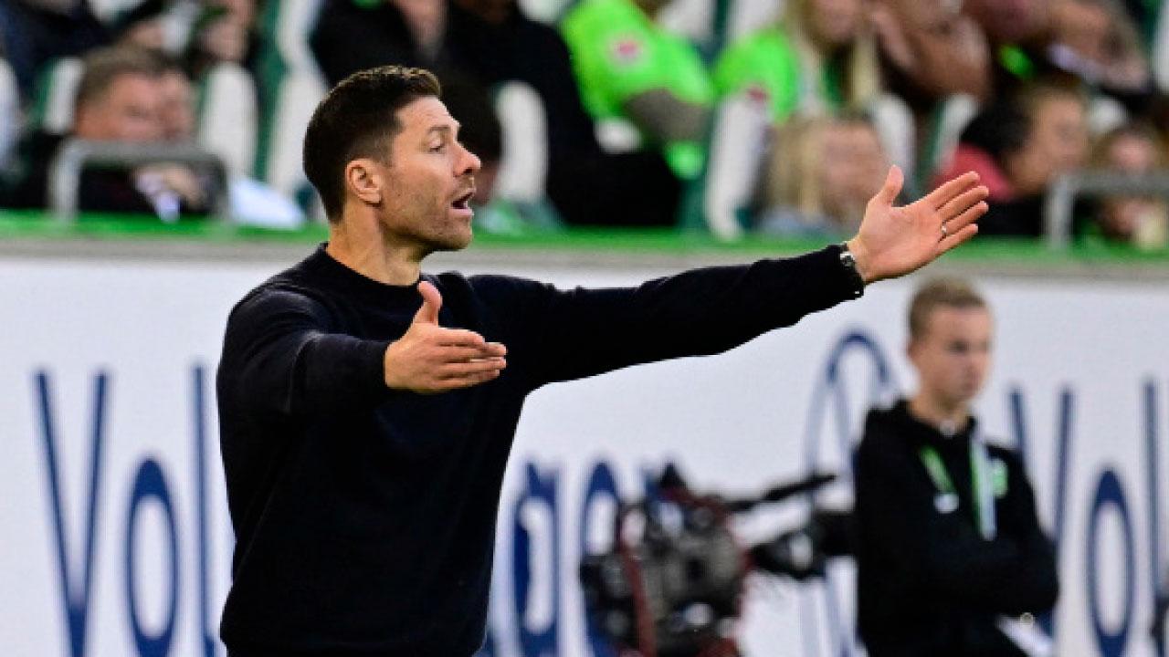 炙手可熱的沙比阿朗素