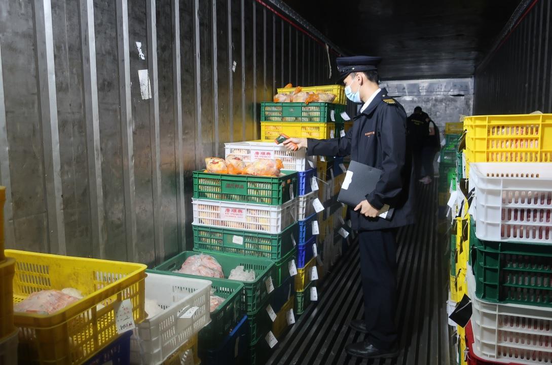 食環署元朗搗破無牌凍房拘1人　銷毀約700公斤冷藏家禽及內臟