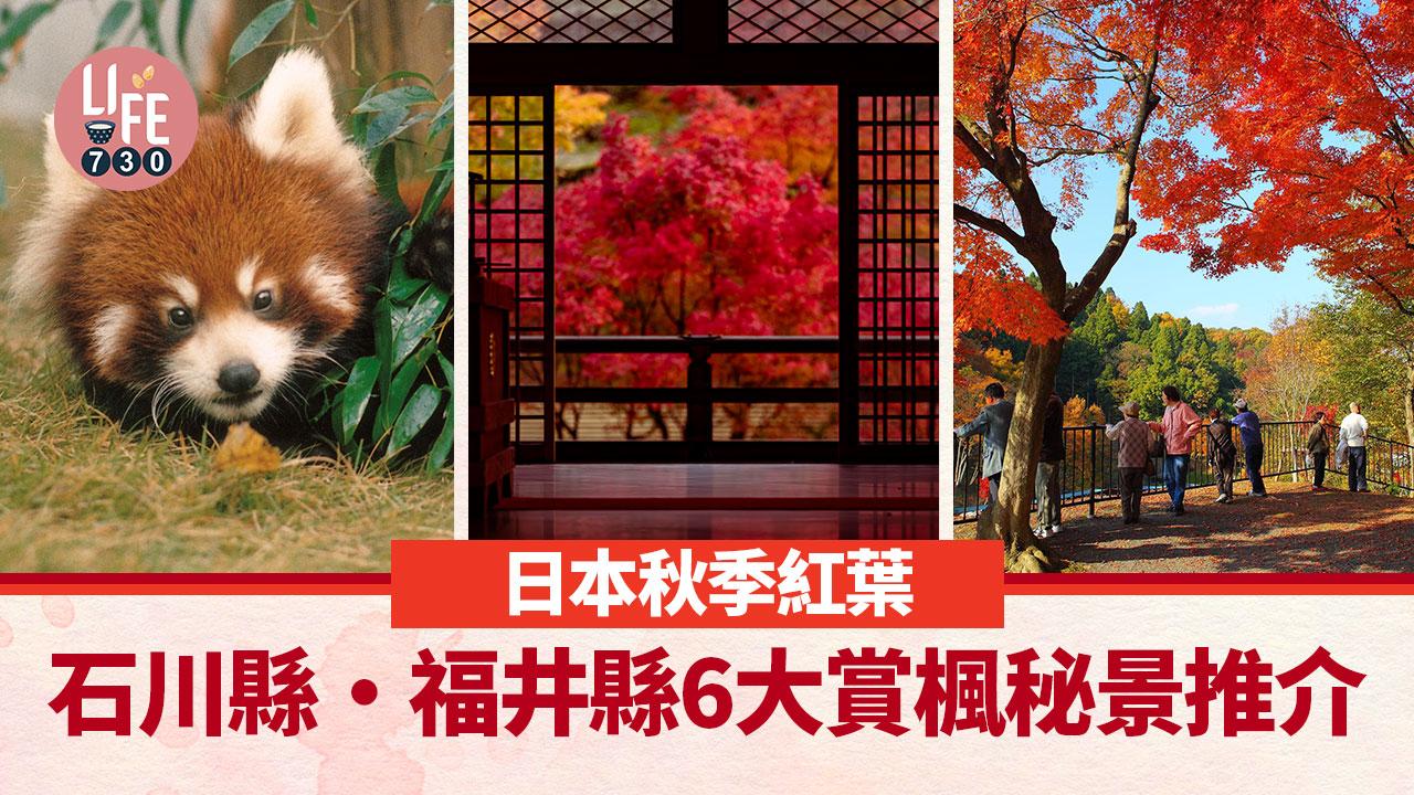 日本紅葉2023｜石川縣・福井縣6大賞楓秘景推介 必去西山公園睇紅葉＋拜訪小熊貓