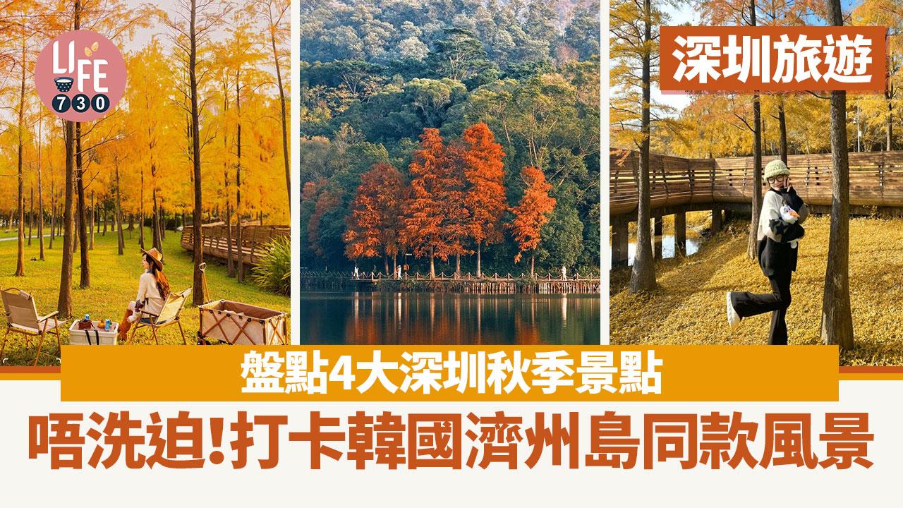 深圳旅遊｜盤點4大深圳秋季景點 浪漫紅色落羽杉 打卡韓國濟州島同款風景 內文附地址＋交通方法