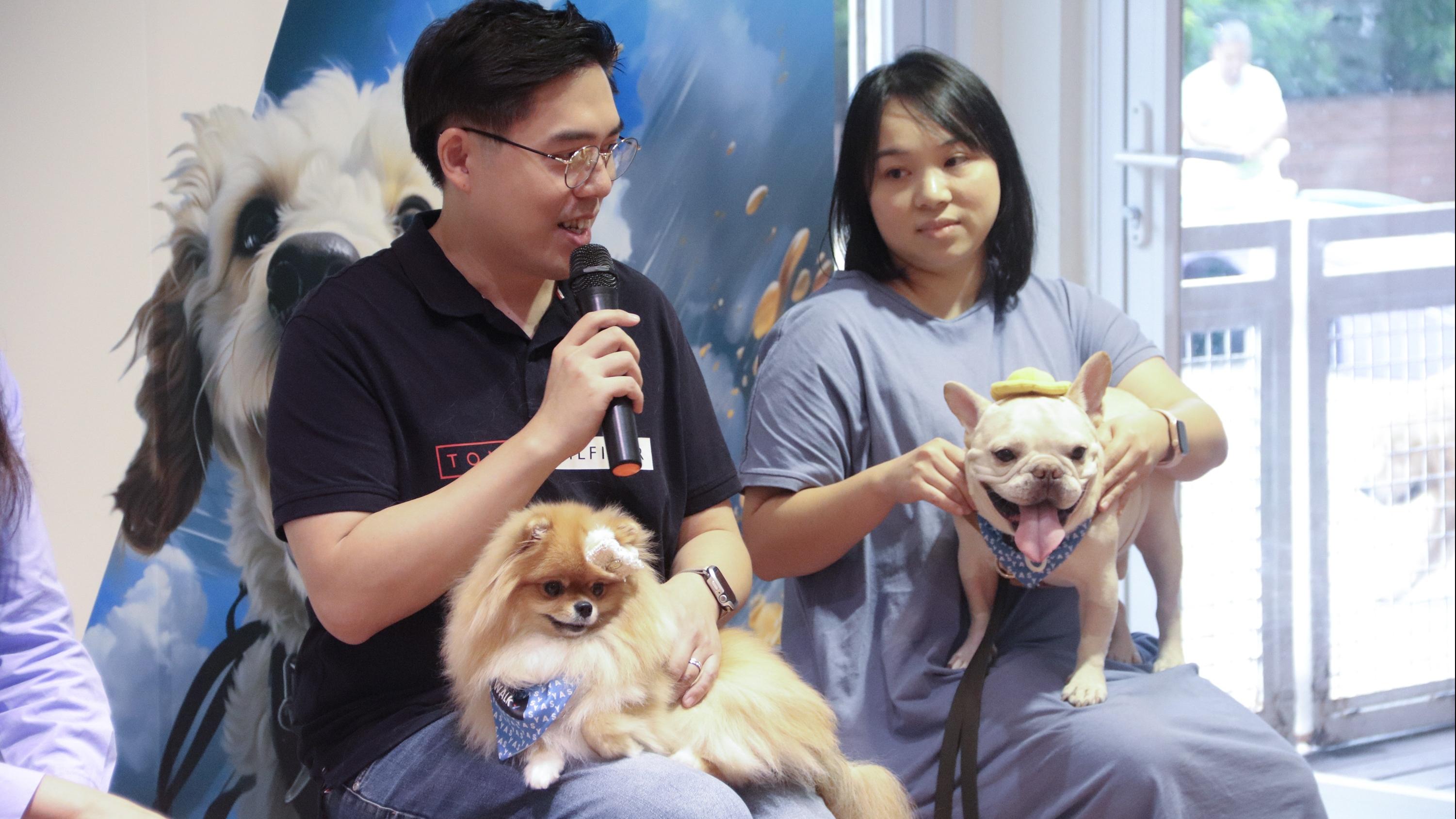 保險動態｜YAS夥利寶推WALKY狗狗出門保 為汪星人提供保障