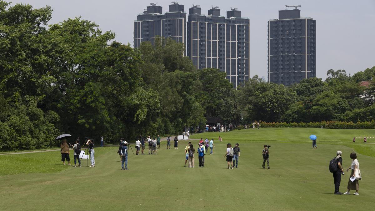 粉嶺高爾夫球場「舊場」部分用地已被收回，並由康文署開放予公眾使用。(資料圖片／蘇文傑攝)