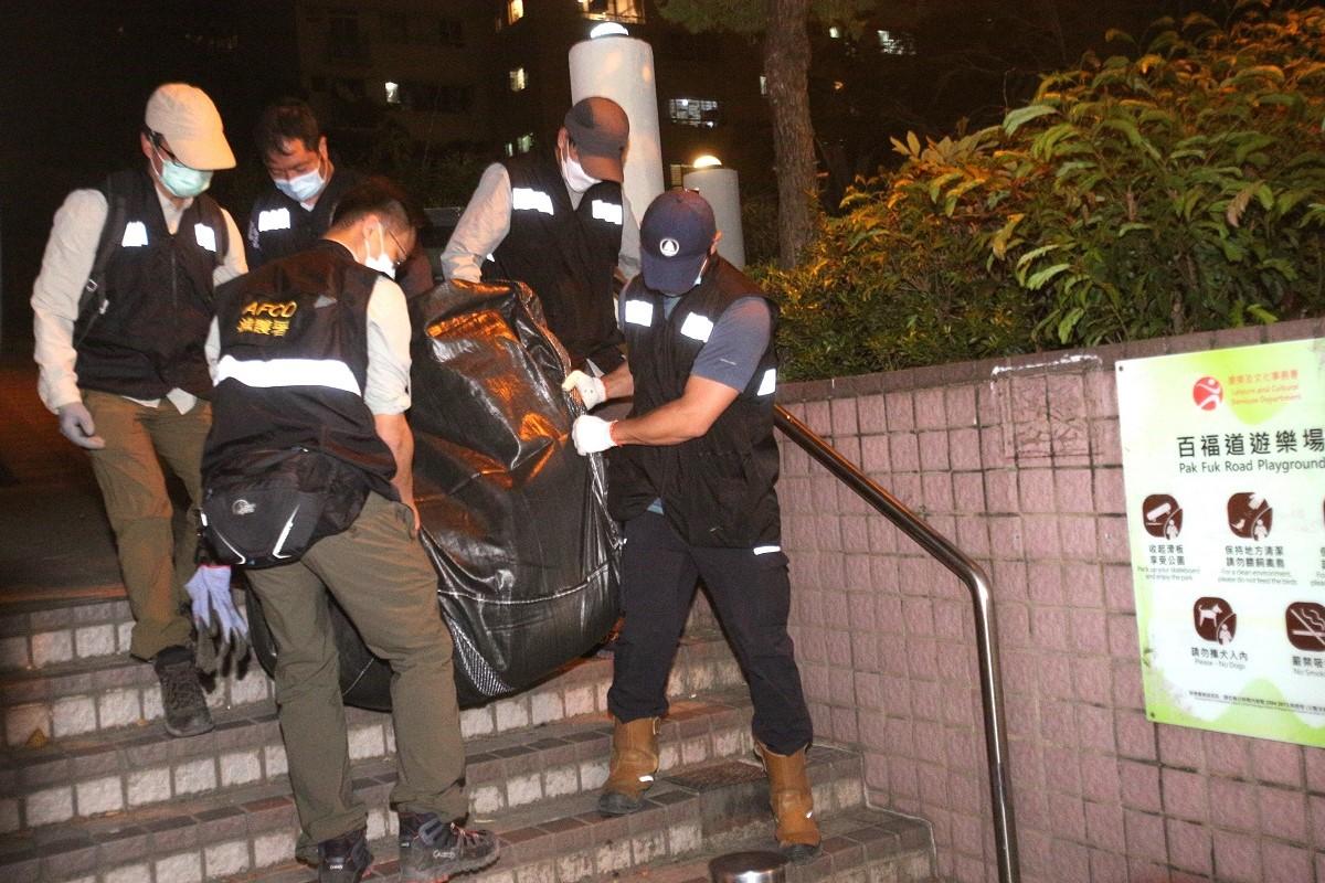 漁護署今晚會在司徒拔道及其他地點捕捉野豬。(資料圖片)