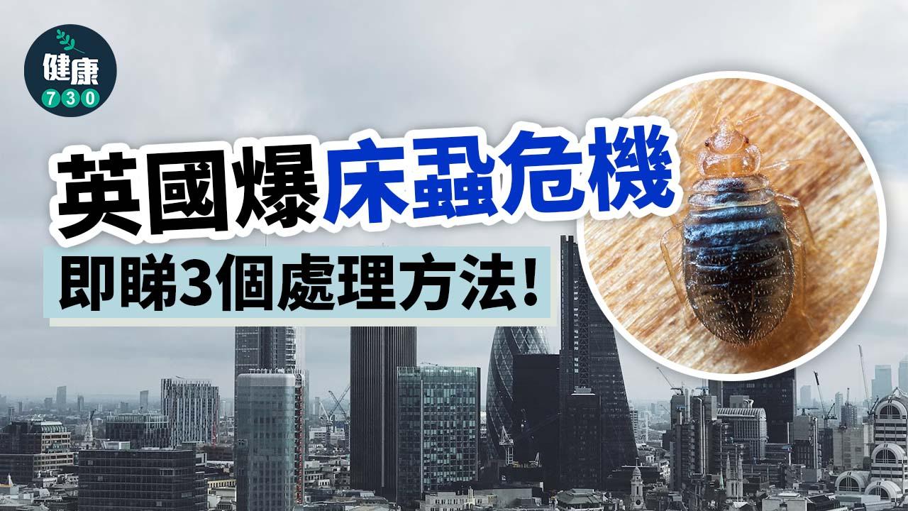 床蝨天敵｜英國爆床蝨危機 即睇3個處理方法！