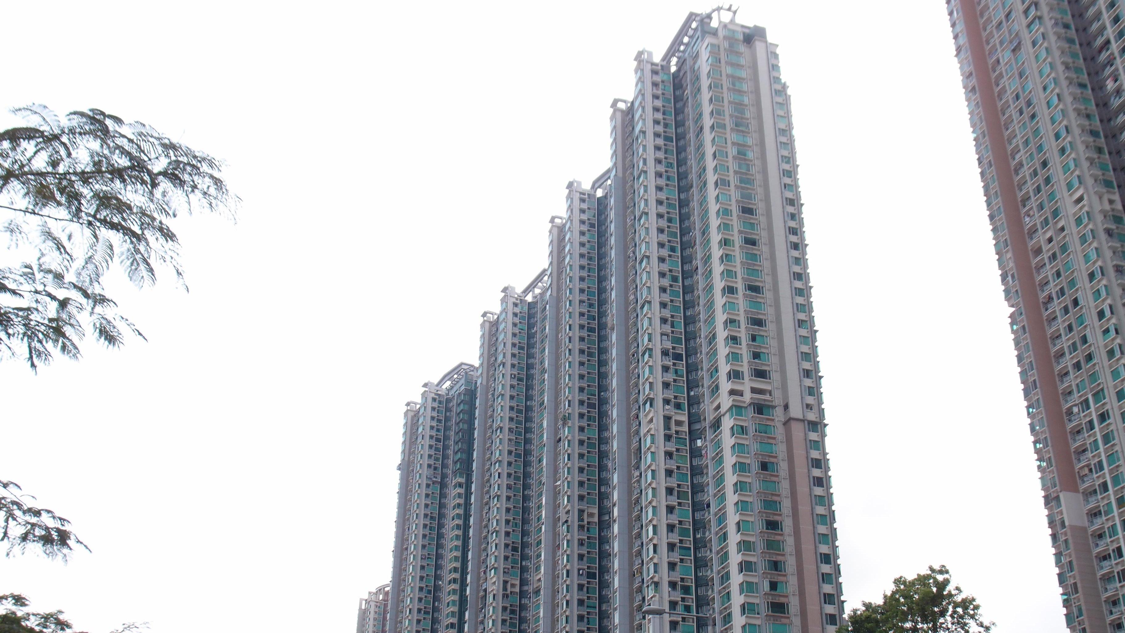 長線投資者趁新住宅印花稅減半措施推出，斥985.8萬元連租約購大圍名城套三房戶，享約3.2厘租金回報。