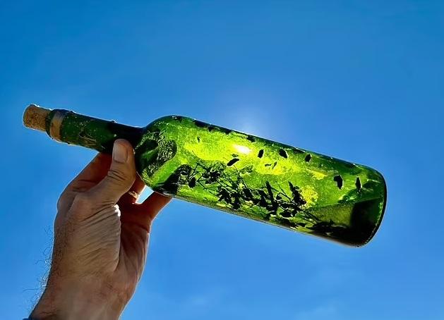 在岸邊撿到的巫術瓶。(互聯網)