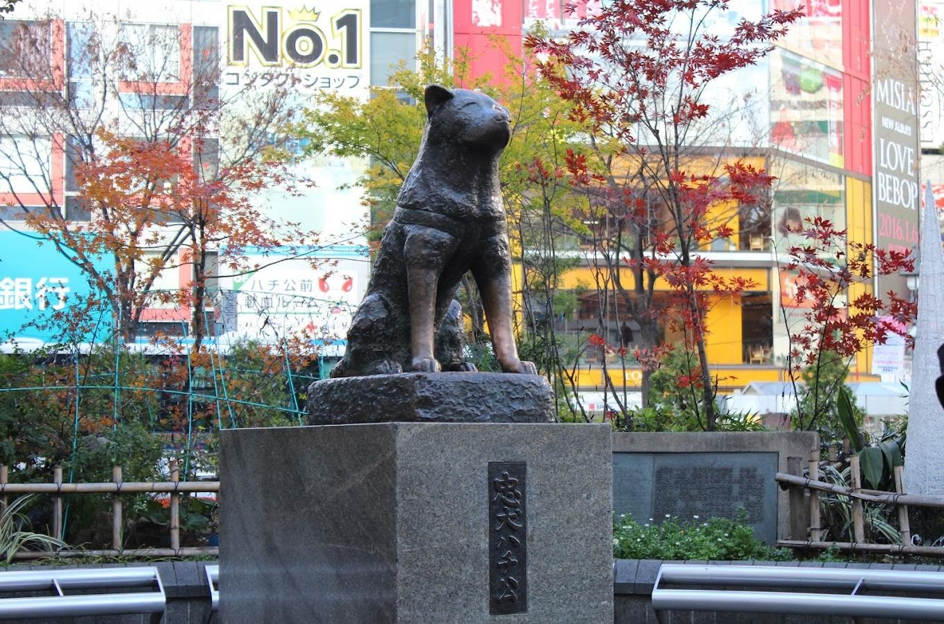東京澀谷的忠犬八公像是地標之一。(互聯網)