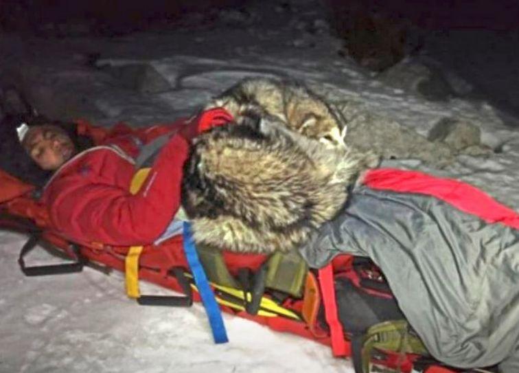 登山漢登雪山墜崖受傷，愛犬爬上身當暖包撐13小時獲救。(FB)
